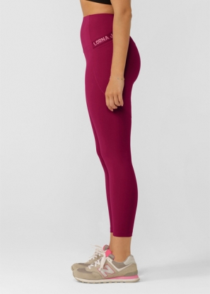 Stomach & Booty Support Excel Ankle Biter Leggings