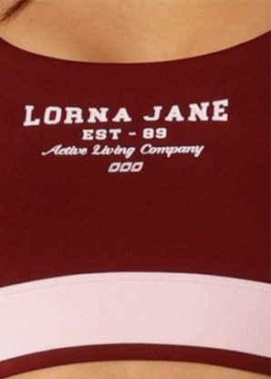 Limited Edition Amy Max Support Sports Bra