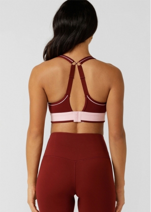 Limited Edition Amy Max Support Sports Bra