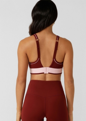 Limited Edition Amy Max Support Sports Bra